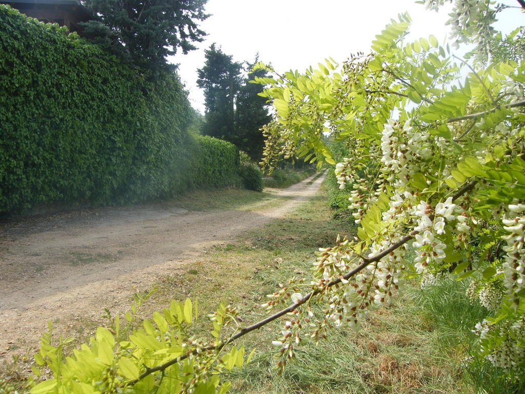B&B Ca' Morino Verona Eksteriør bilde